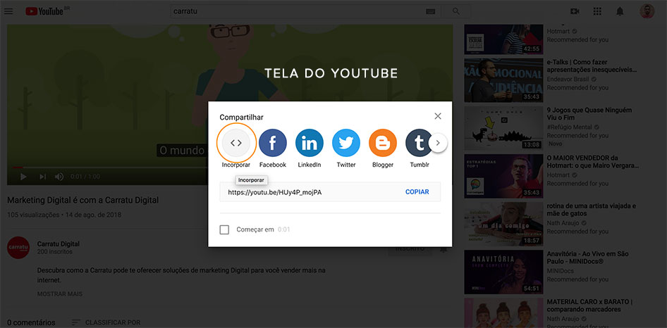 código compartilhamento youtube wordpress